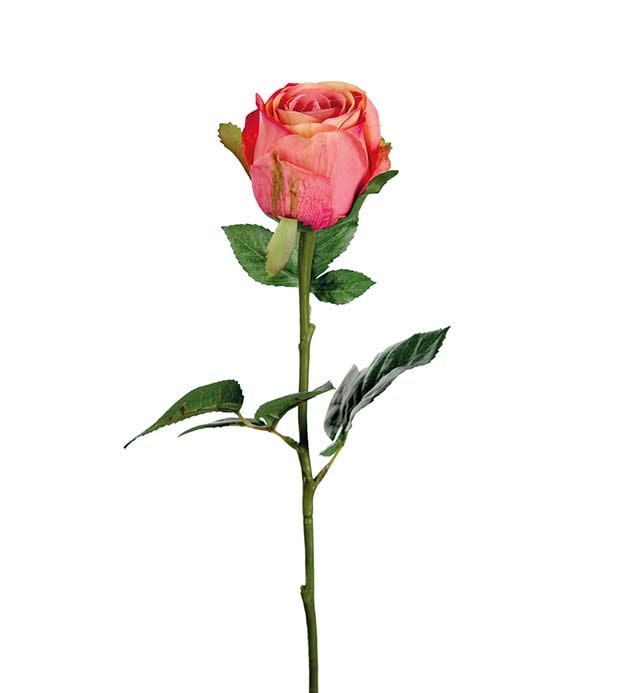 Rosa/Orange Ros 50cm