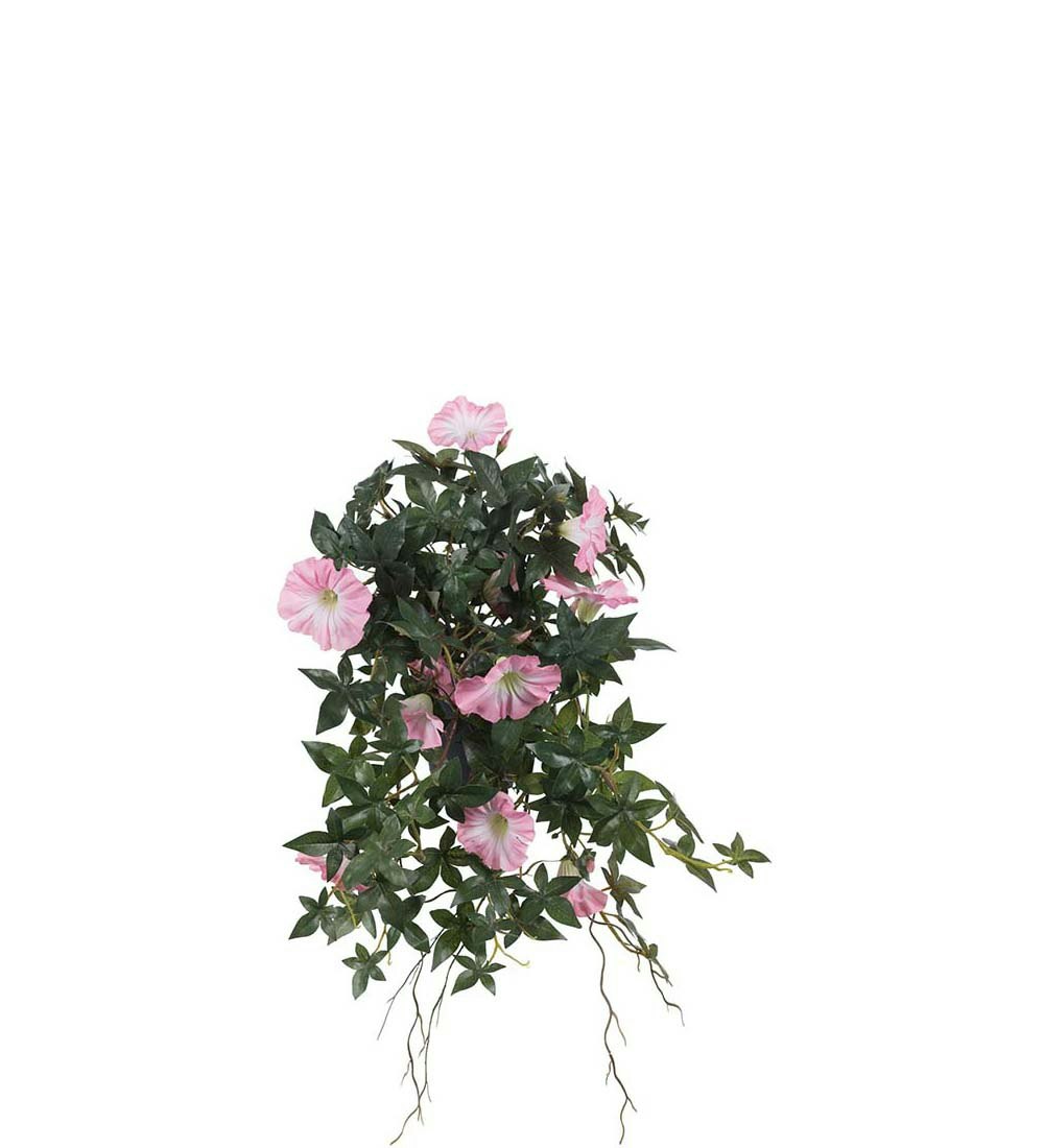 Rosa blomma för dagen