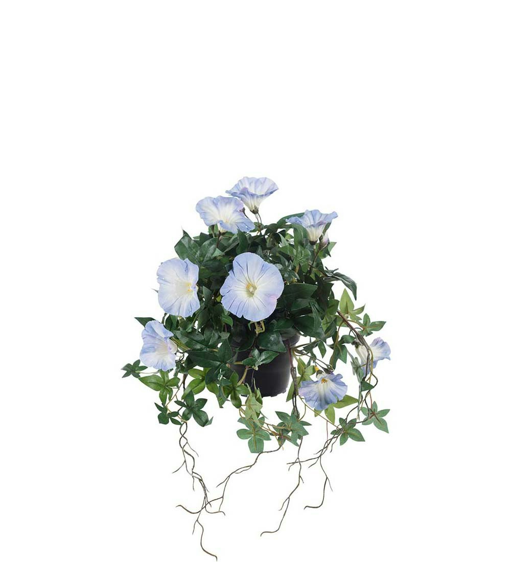 Blå blomma för dagen