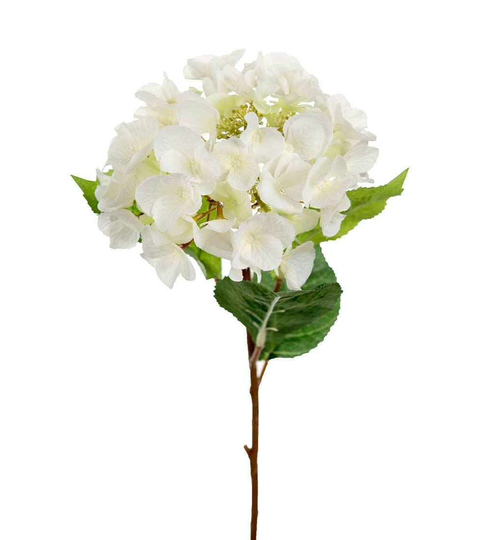 Vit Hortensia 45cm