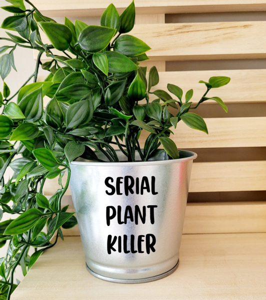 Blomsterpotte - Serial plant killer