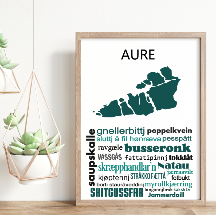 Aure - gamle ord & uttrykk