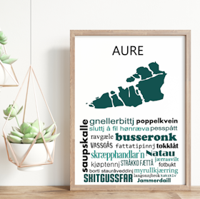 Aure - gamle ord & uttrykk