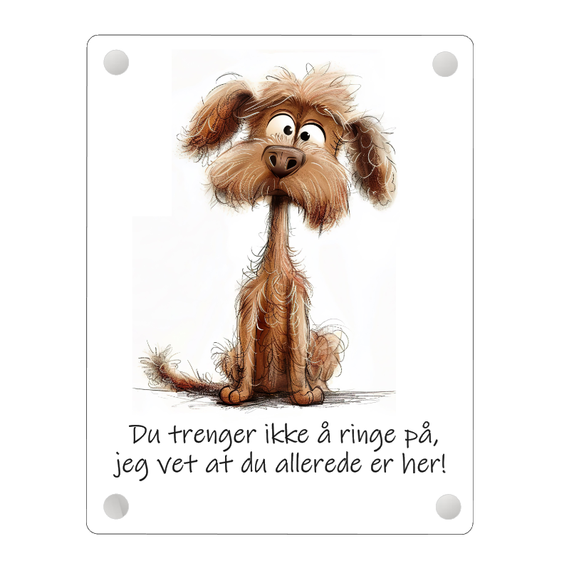 Du trenger ikke å ringe på..
