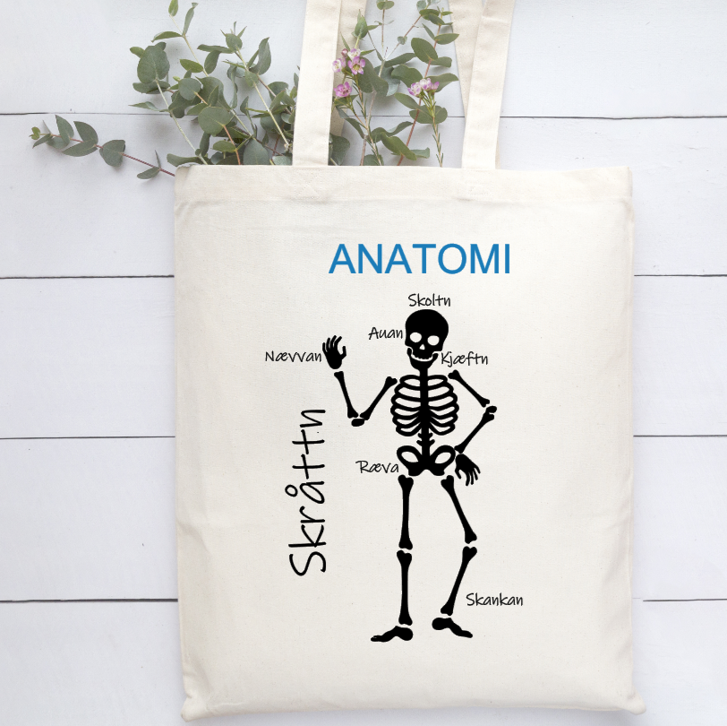 Anatomi