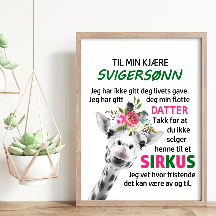 Til min kjære svigersønn