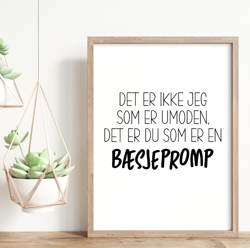 Bæsjepromp