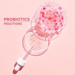Garnier SkinActive 2 Million Probiotics Fractions Repairing-  Sheet Mask