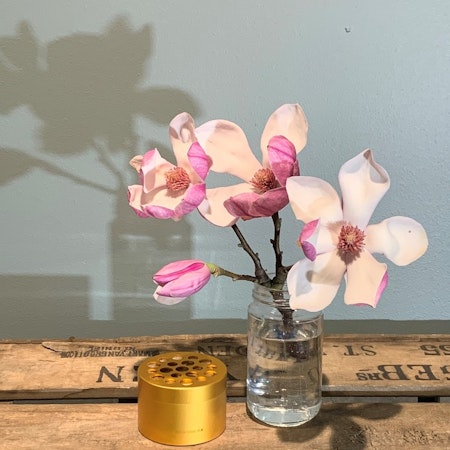 HANATABA - Original Guld