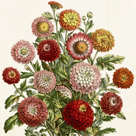 Servett - Orange blommor