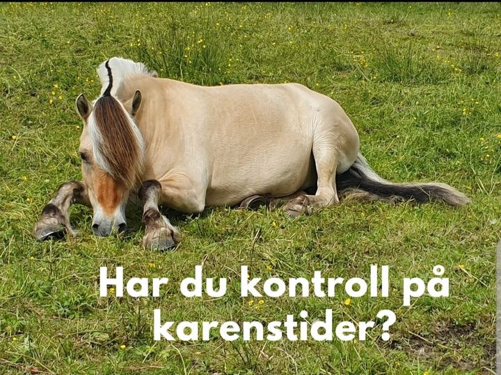 Har du kontroll på dopingreglement og karenstider?