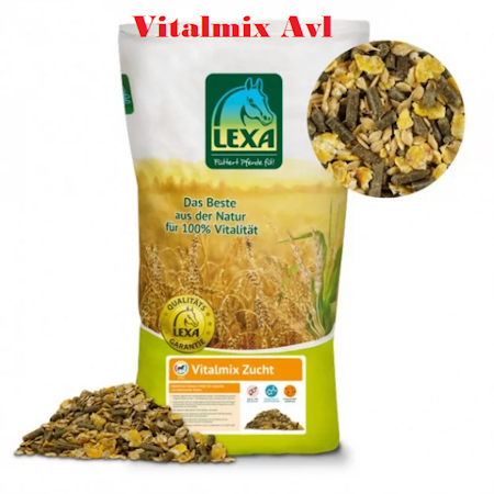 Vitalmix Avl