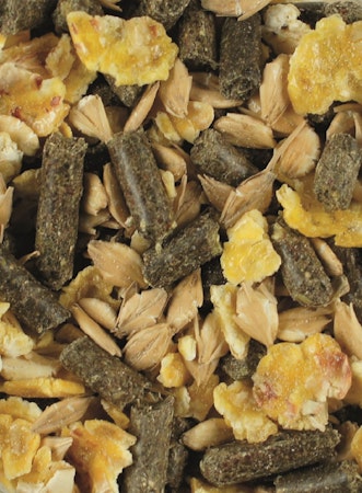 Vitalmix Avl