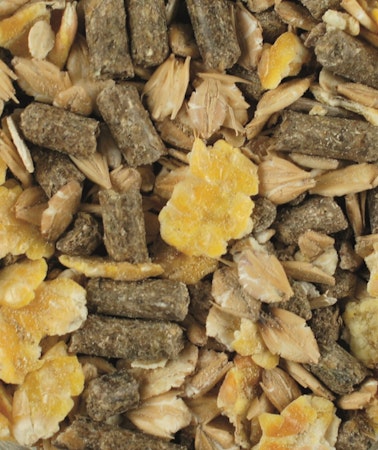 Vitalmix Føll (Unghest)