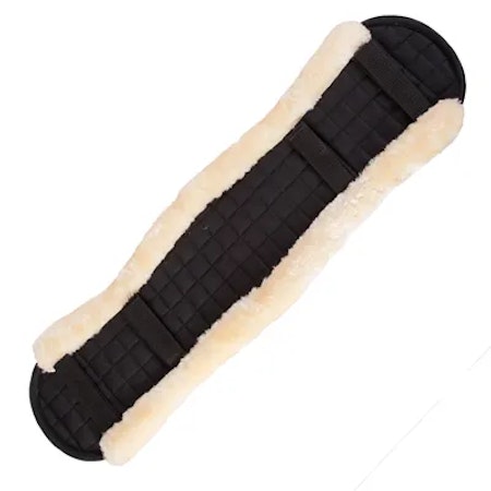 Gjordbeskytter Heimer Pro, dressur