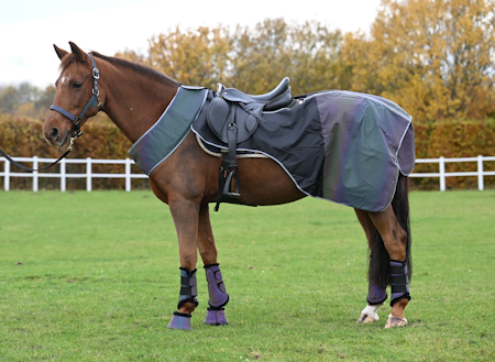 Ridedekken Rainbow refleks
