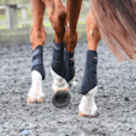 Equilibrium Stretch & Flex Flatwork Wraps