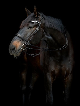 CATAGO Gentle kinnstykker, sort