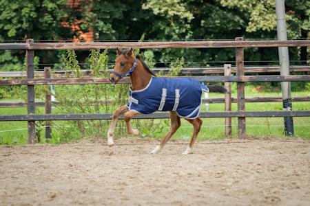 Bucas Foal Turnout 50g
