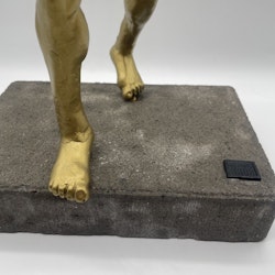 Zlatan (Såld)