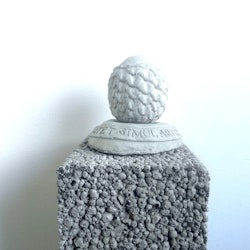 Betongbror ägget