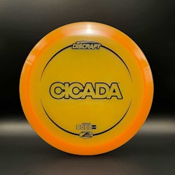 Z Lite Cicada