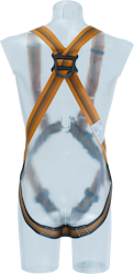ARG 30