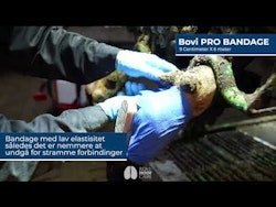 Bovi Hoof Pro Bandage 9 cm x 6 m - Blå - 12 stk.