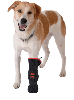 Medipaw Basic Boot