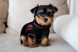Medipaw Body Hund
