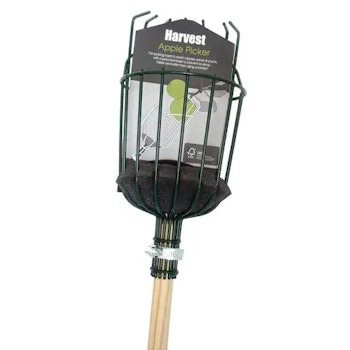 Epleplukker, Burgon & Ball
