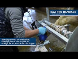 Bovi Dry Pads BASIC+ 12 stk