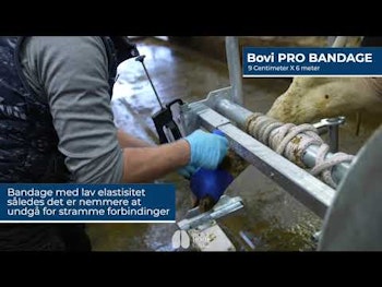 Bovi Dry Pads BASIC+ 12 stk