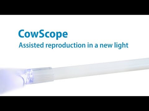 CowScope video endoscope