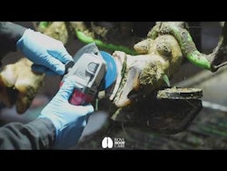 Bovi hoof disc - 8 knifes