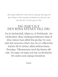 STAR OF SWEDEN | Långt halsband | Silver | Rosa sten