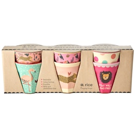 RICE 6-PACK MUGGAR BARN