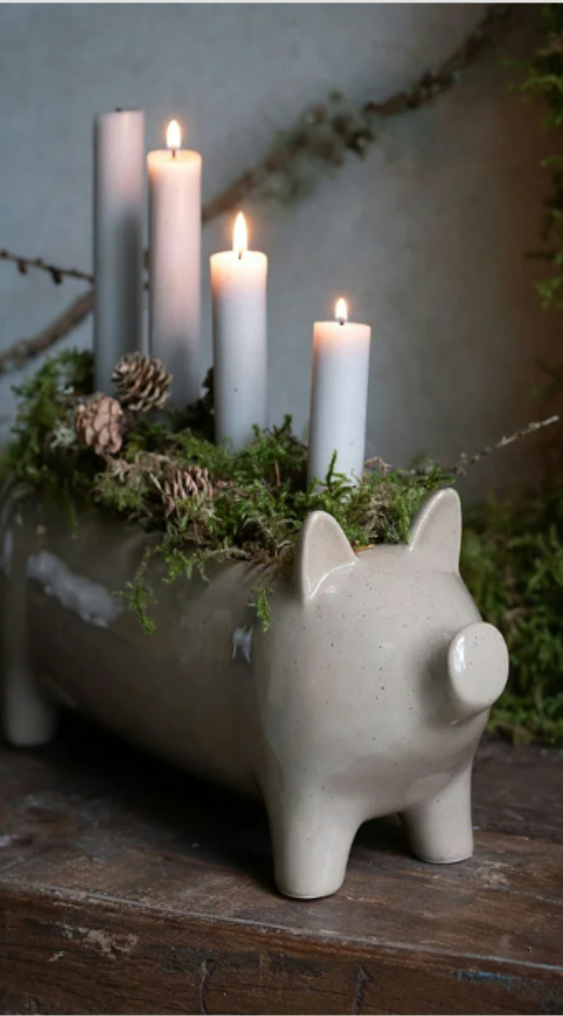 PLANTERINGS GRIS KIM BEIGE