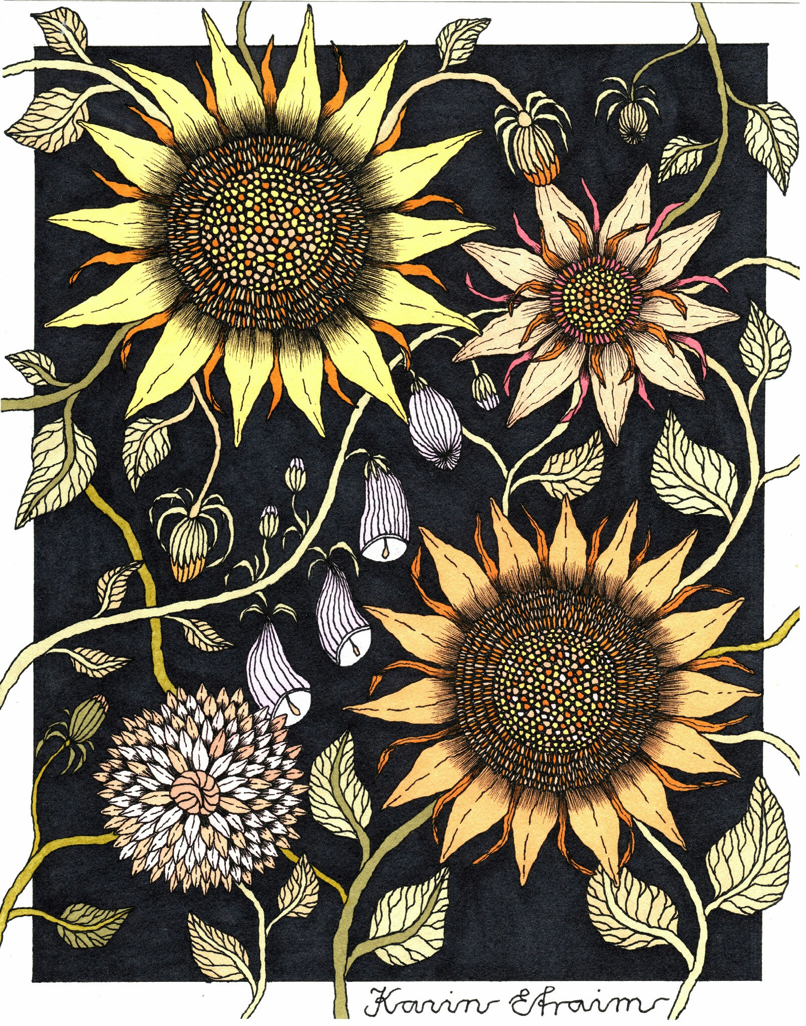 BLOMMOR