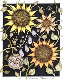 BLOMMOR - affisch