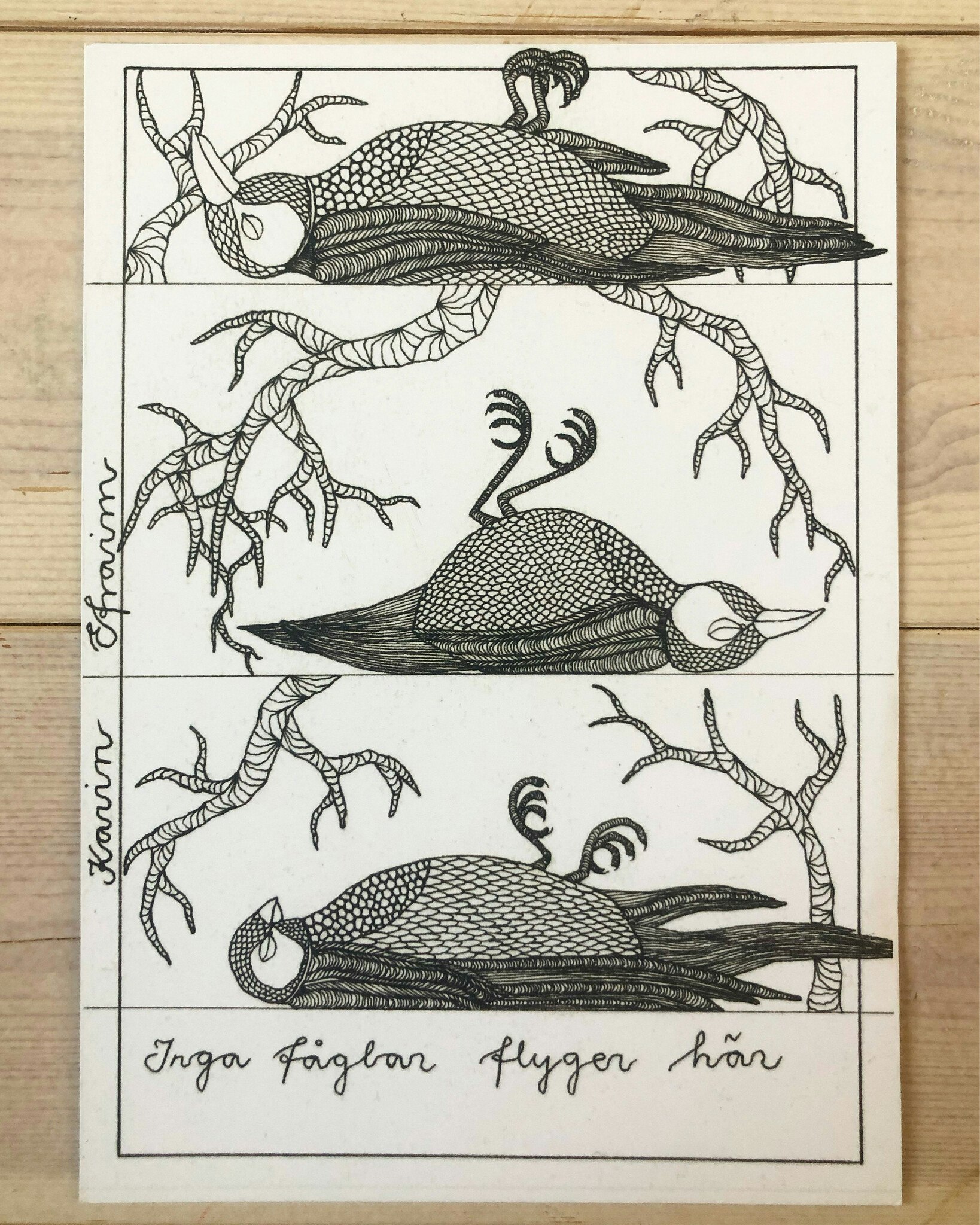 INGA FÅGLAR -print