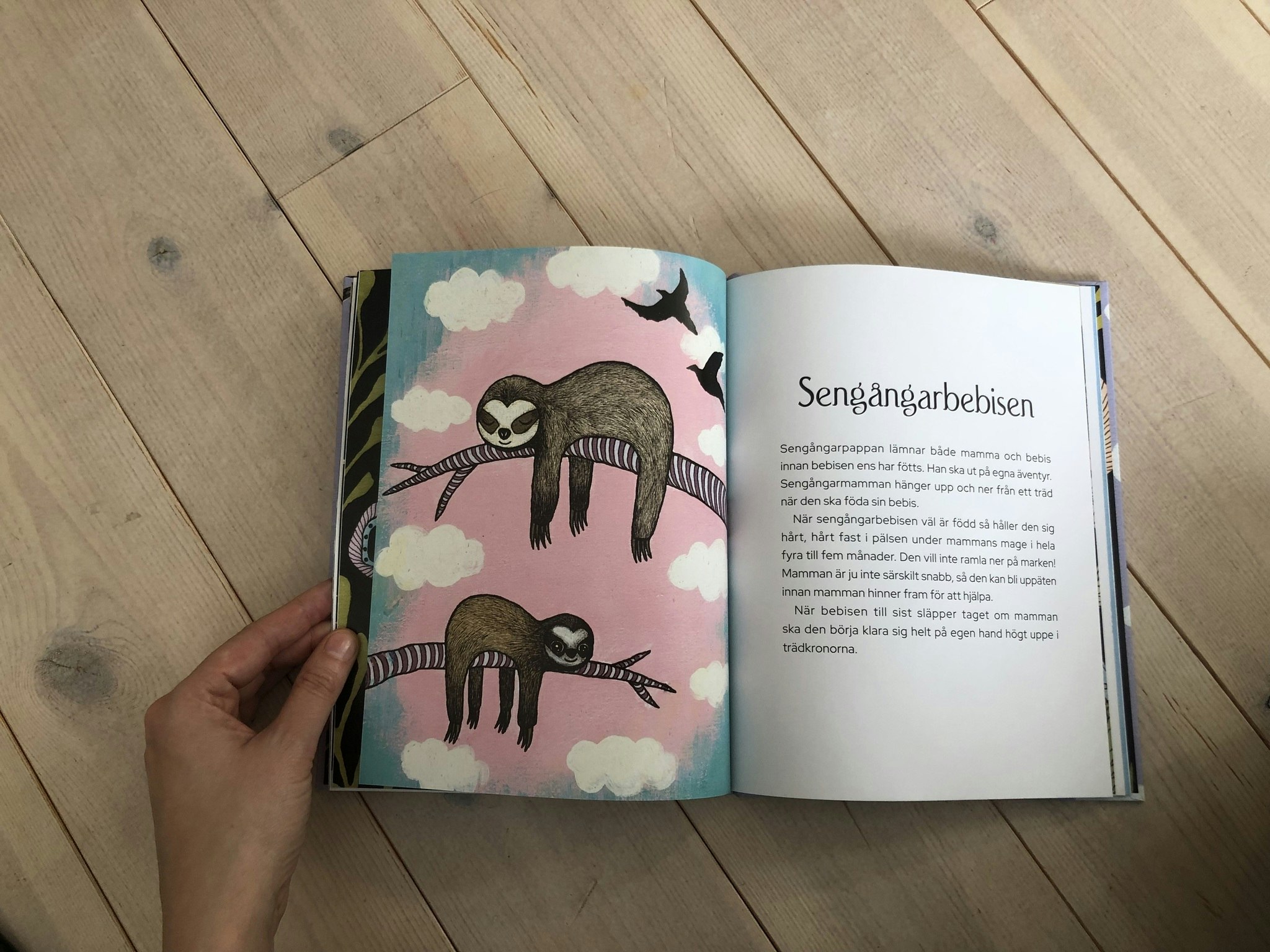 NYHET! Överraskningspaket!