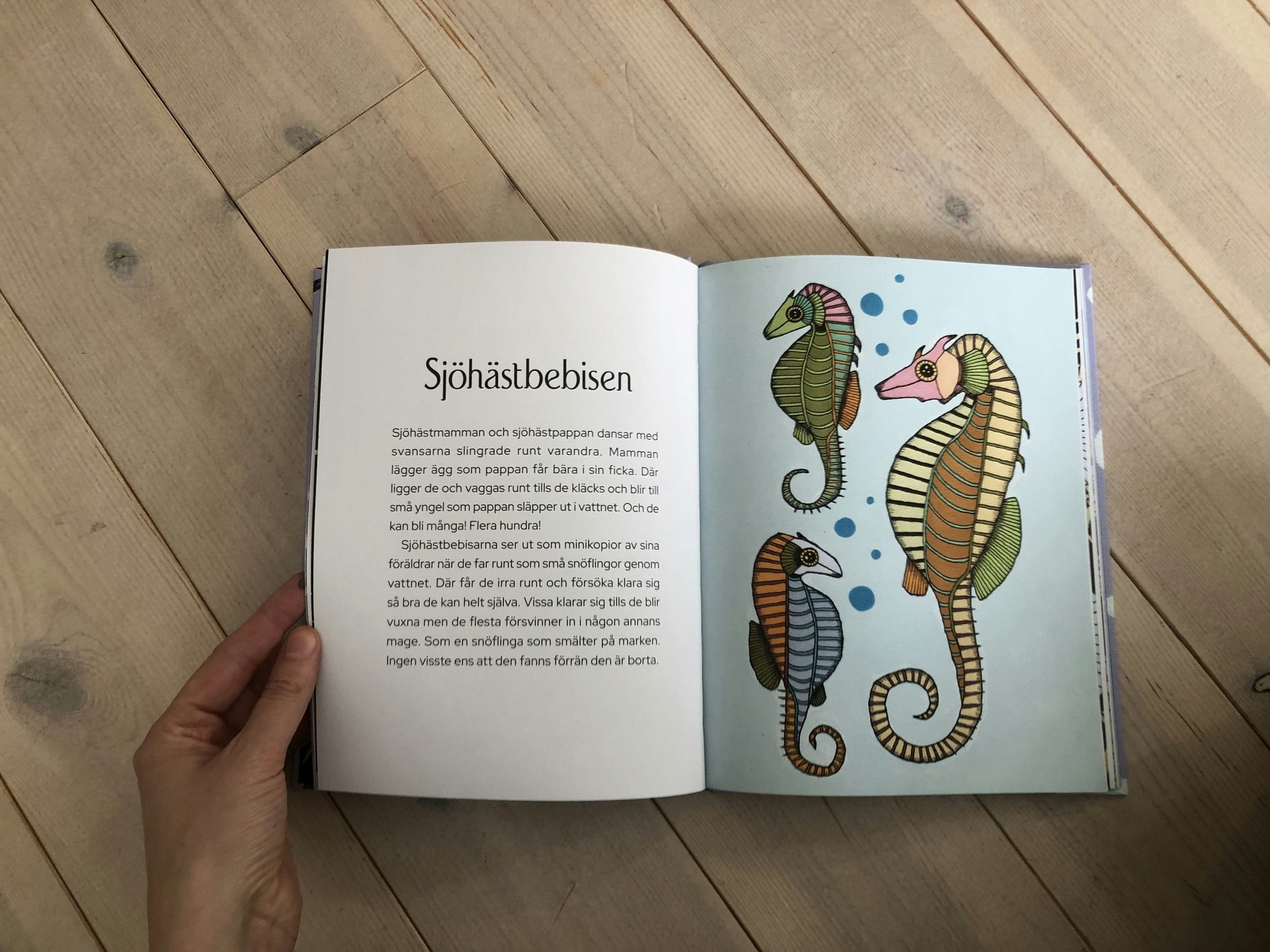 BEBISDJUREN