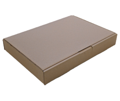 L350 x W250 x H50mm