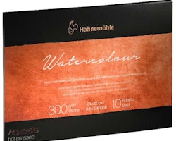 Hahnemuhle 300g-24x32-coldpress-10 st