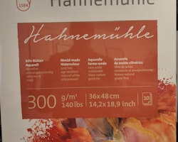 Hahnemuhle-300g-36x48-coldpress-10st