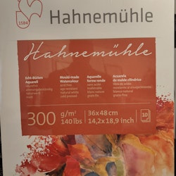 Hahnemuhle-300g-36x48-coldpress-10st