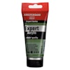 Amsterdam-Expert-75ml-668-Chromium oxide green