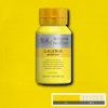 Galeria-500ml-Winsor & Newton-114-Cadmium yellow pale Hue