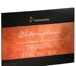 Hahnemuhle 300g-24x32-Rough-10 st